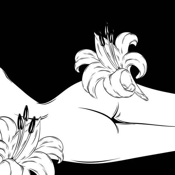 Vector Hand Drawn Illustration Female Body Part Lily Creative Artwork — Stock Vector