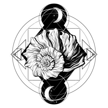 İzole seashell vektör elle çizilmiş çizim. Yaratıcı dövme sanat. Şablon kartı, poster. afiş, t-shirt, pin, rozet, yama için yazdırma.