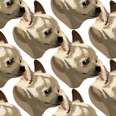 Elle çizilmiş illüstrasyon izole Chihuahua ile vektör desen. Yaratıcı sanat çalışmaları. Şablon kartı, poster. afiş, t-shirt, pin, rozet, yama için yazdırma.