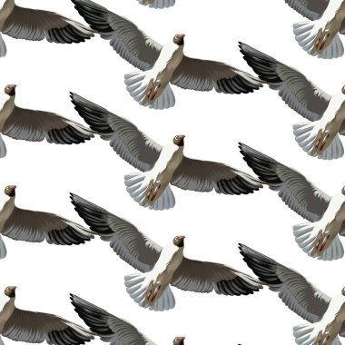 Vektör desen elle çizilmiş illüstrasyon izole martılar, ile. Yaratıcı sanat çalışmaları. Şablon kartı, poster. afiş, t-shirt, pin, rozet, yama için yazdırma.