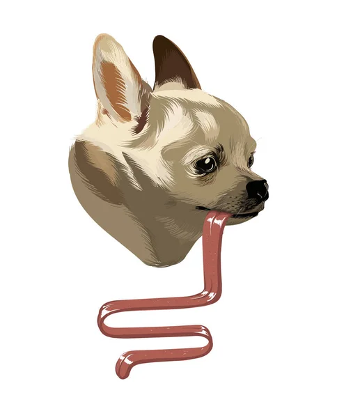 Illustrazione Disegnata Mano Vettoriale Chihuahua Con Lingua Isolata Opera Creativa — Vettoriale Stock