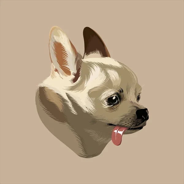 Vetor Mão Desenhada Ilustração Chihuahua Com Língua Isolada Arte Criativa — Vetor de Stock