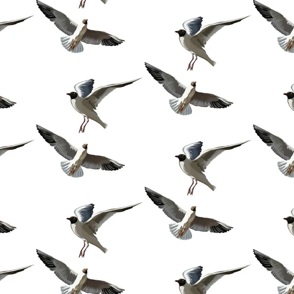 Padrão vetorial com ilustração desenhada à mão de gaivotas isoladas . —  Vetores de Stock