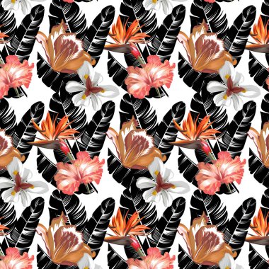 Çiçek ve palmiye yaprakları izole elle çizilmiş illüstrasyon ile Vektör desen.