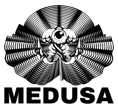 Medusa. İzole denizanası vektör el çizilmiş illüstrasyon.