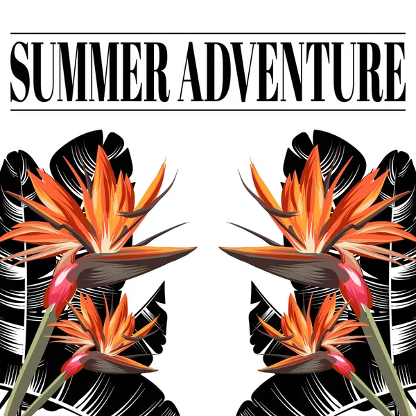 Yaz macerası. Çiçek ve palmiye yaprakları izole vektör el çizilmiş pankart. — Stok Vektör