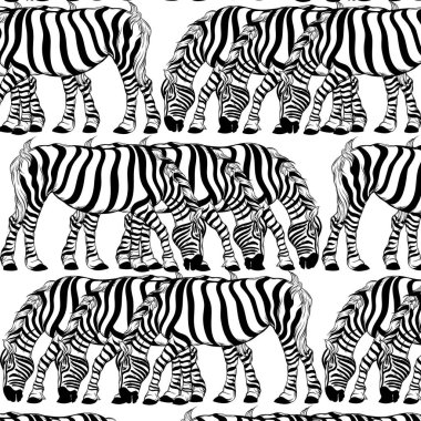 El çizilmiş zebra izole illüstrasyon ile vektör deseni.