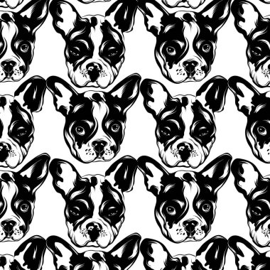 Bulldog elle çizilmiş illüstrasyon ile vektör deseni .