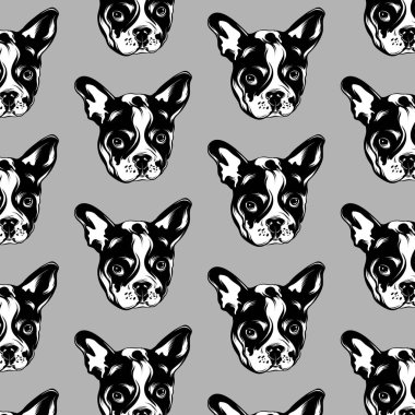 Bulldog elle çizilmiş illüstrasyon ile vektör deseni .