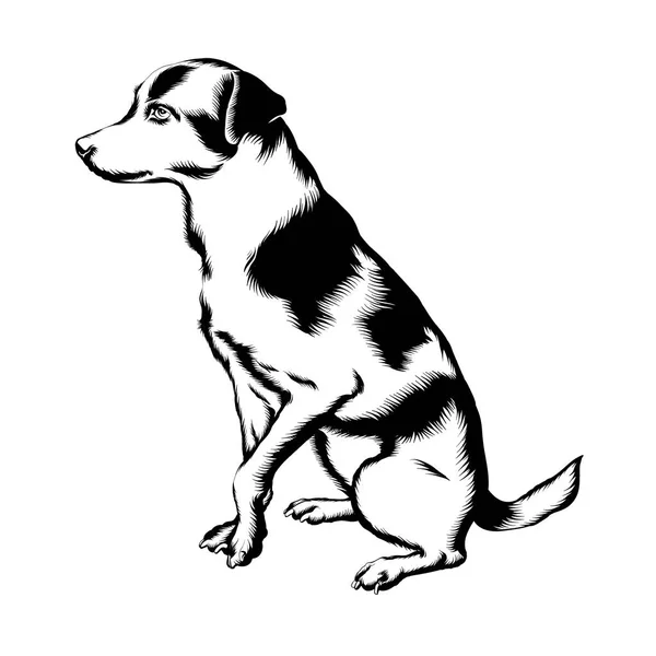 Векторная ручная иллюстрация собаки . — стоковый вектор