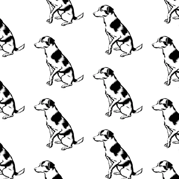 Vector patroon met hand getekende illustratie van hond geïsoleerd. — Stockvector