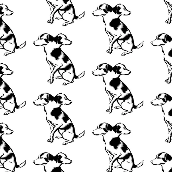 Padrão vetorial com ilustração desenhada à mão de cão com duas cabeças isoladas . — Vetor de Stock