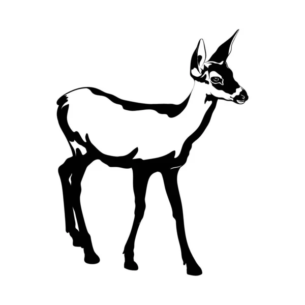 Vector Mão Desenhada Ilustração Fawn Isolado Arte Tatuagem Criativa Modelo — Vetor de Stock