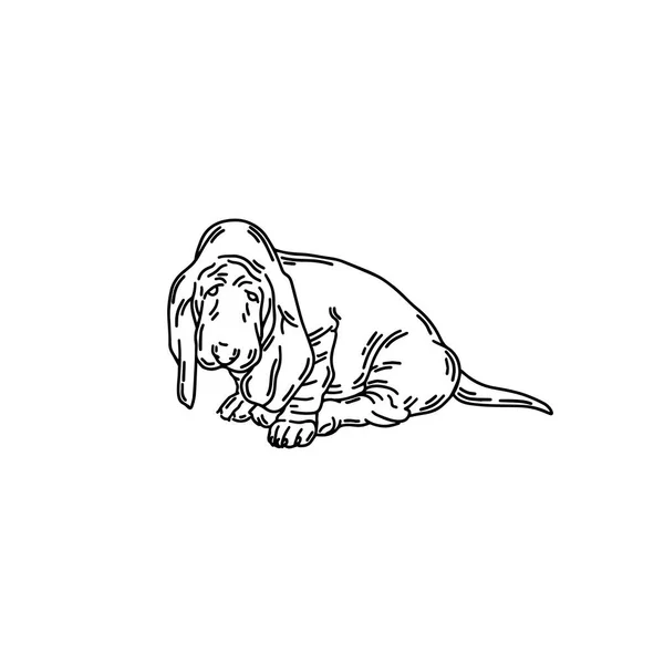 Vektor Handritad Illustration Basset Hund Isolerad Tatueringskonst Mall För Kort — Stock vektor