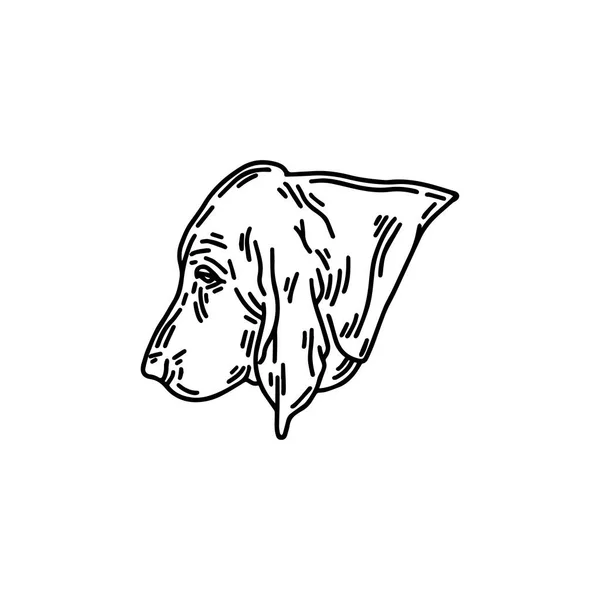 Векторная Ручная Иллюстрация Собаки Бассета Изолирована Татуировка Собачьим Профилем Шаблон — стоковый вектор