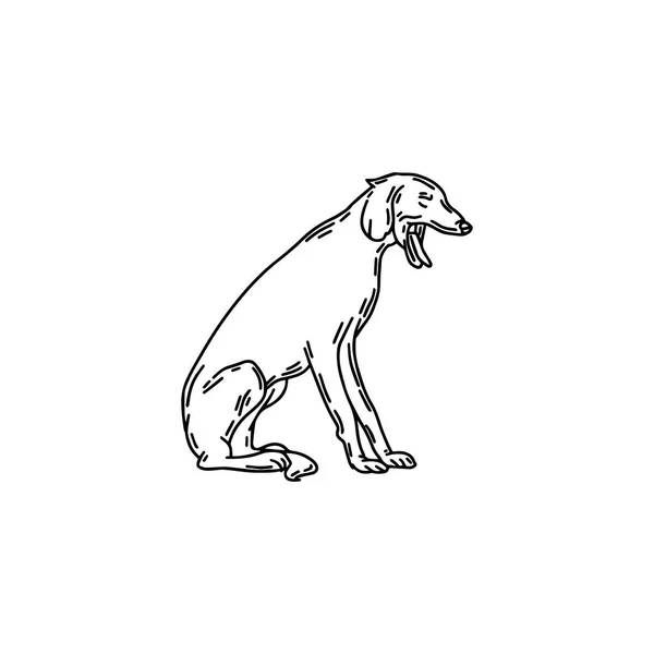 Illustration Vectorielle Dessinée Main Chien Lévrier Persan Bâillant Isolé Création — Image vectorielle