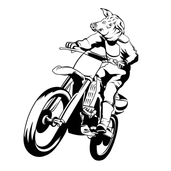 Illustration Vectorielle Dessinée Main Motocycliste Avec Tête Porc Tatouage Anthropomorphe — Image vectorielle