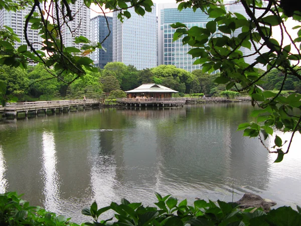 日本东京 2009年5月6日 在东京中区现代城市摩天大楼的背景下 在滨湖宁静的池塘边上欣赏传统木制茶馆的美丽景色 — 图库照片