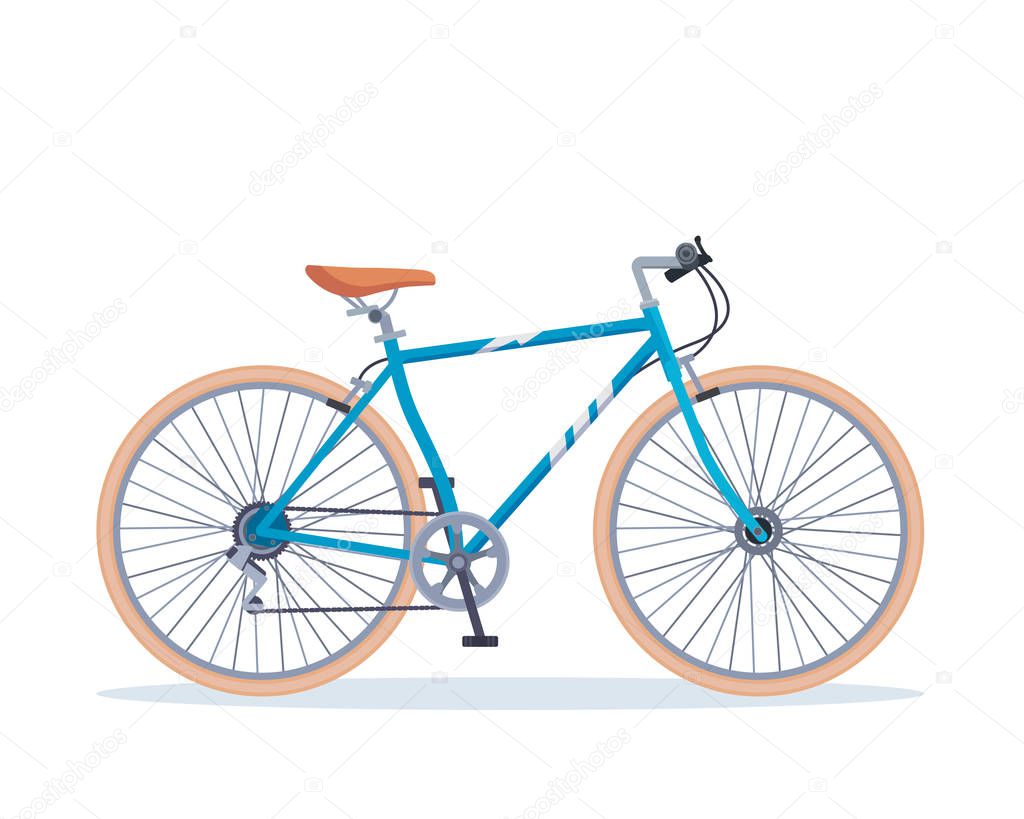 Urban Vintage Male City Road Bicycle illustration