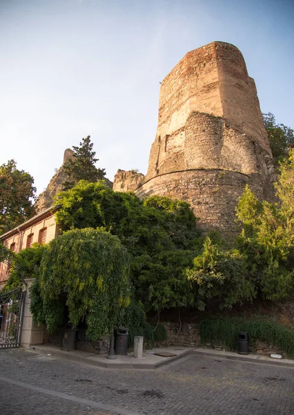 Gruzie Tbilisi Botanická Zahrada — Stock fotografie