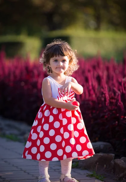 Little Girl Park — Stock Photo, Image