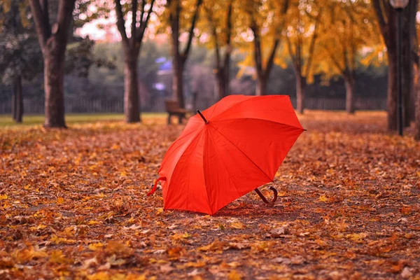 Red Umbrella Autumn — Stock Photo, Image