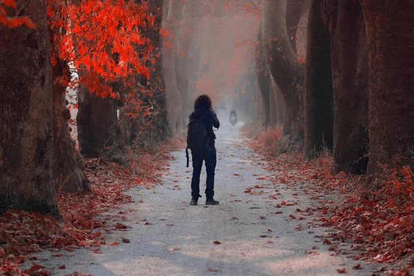 Oktober 2018 Türkei Herbstlich Neblige Landschaft Mit Einem Mann Auf — Stockfoto