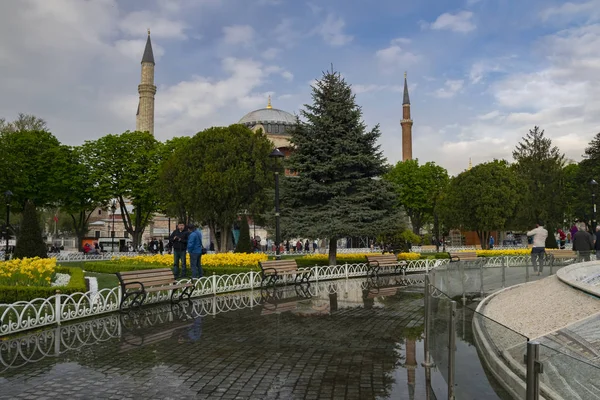 Tulip Fesztivál Sultahahmet Téren Tulipánok Hagia Sophia Isztambulban Törökországban Fénykép — Stock Fotó