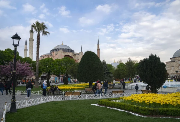 Tulip Fesztivál Sultahahmet Téren Tulipánok Hagia Sophia Isztambulban Törökországban Fénykép — Stock Fotó