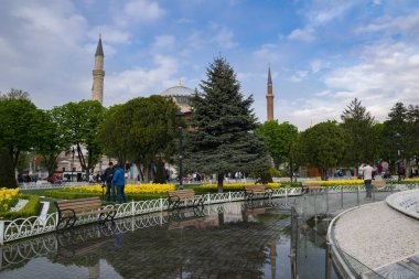 Sultahahmet Meydanı'nda Lale Festivali. Laleler ve Ayasofya İstanbul'da, Türkiye. Fotoğraf 21 Nisan 2017 tarihinde İstanbul, Türkiye.