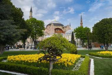 Sultahahmet Meydanı'nda Lale Festivali. Laleler ve Ayasofya İstanbul'da, Türkiye. Fotoğraf 21 Nisan 2017 tarihinde İstanbul, Türkiye.