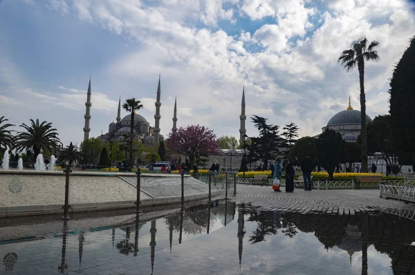 Mezquita Azul Estambul Por Mañana Con Reflejo Agua Lluvia Foto — Foto de Stock