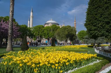 Sultahahmet Meydanı'nda Lale Festivali. İstanbul'da Laleler ve Sultanahmet Camii. Fotoğraf 21 Nisan 2017 tarihinde İstanbul, Türkiye