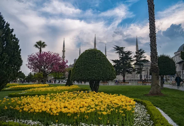 苏塔哈迈特广场的郁金香节 伊斯坦布尔的郁金香和蓝色清真寺 照片拍摄于2017年4月21日 土耳其斯坦布尔 — 图库照片