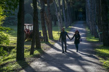 Arboretum parkında el ele yürüyen genç bir kadın ve adam. Fotoğraf 31 Ekim 2017 tarihinde İstanbul, Türkiye