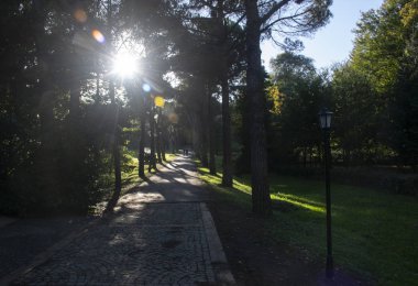 Arboretum'da yürüyen insanlar. Fotoğraf 31 Ekim 2017 tarihinde İstanbul, Türkiye