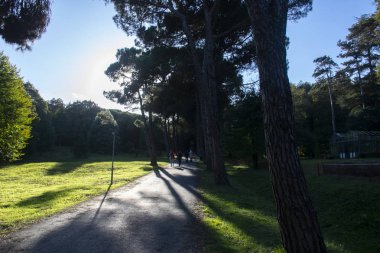 Arboretum'da yürüyen insanlar. Fotoğraf 31 Ekim 2017 tarihinde İstanbul, Türkiye