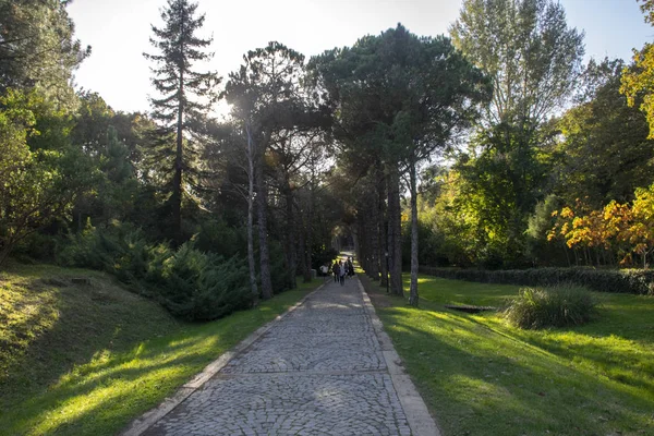 Menschen Die Arboretum Gehen Foto Aufgenommen Oktober 2017 Istanbul Türkei — Stockfoto