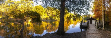 Botanik Bahçesi Panorama Sonbahar Manzara ve Ördek Yuvası