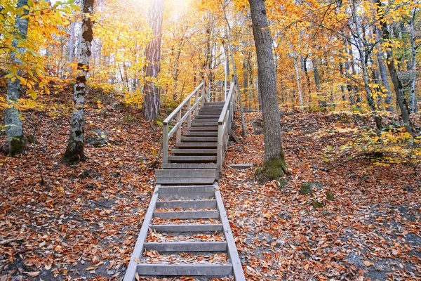 Yedigoller Ulusal Parkı 'nın güzel sonbahar manzarası. Ağaçların yansıması. Renkli yapraklar. Düşen yapraklar. Ahşap merdivenler. Fotoğraf: 10 Kasım 2018 Yedigoller