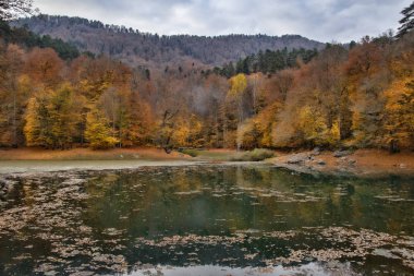 Yedigoller Ulusal Parkı 'nın güzel sonbahar manzarası. Ağaçların yansıması. Renkli yapraklar. Düşen yapraklar. Ahşap merdivenler. Fotoğraf: 10 Kasım 2018 Yedigoller