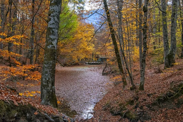 Schöne Herbstansichten Des Yedigoller Nationalparks Reflexion Der Bäume Farbige Blätter — Stockfoto