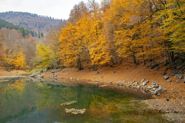 Belle Vue Automne Sur Parc National Yedigoller Reflet Des Arbres — Photo