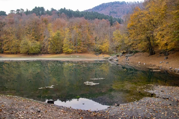 Bella Vista Autunnale Del Parco Nazionale Yedigoller Riflessione Degli Alberi — Foto Stock