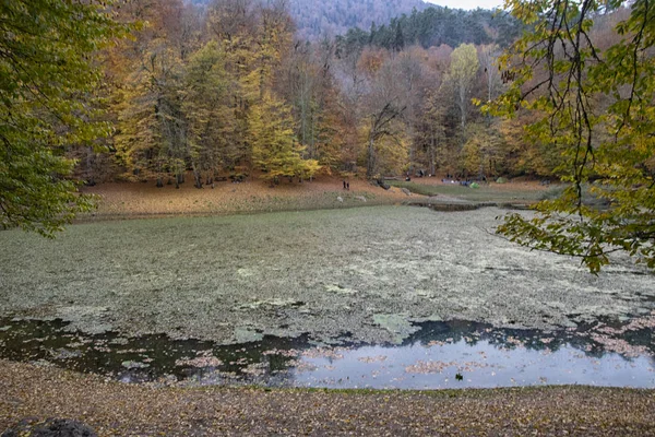 Hermosas Vistas Otoñales Del Parque Nacional Yedigoller Reflexión Los Árboles — Foto de Stock