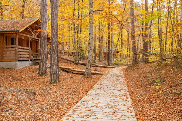 Schöne Herbstansichten Des Yedigoller Nationalparks Reflexion Der Bäume Farbige Blätter — Stockfoto