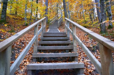 Yedigoller Ulusal Parkı 'nın güzel sonbahar manzarası. Ağaçların yansıması. Renkli yapraklar. Düşen yapraklar. Ahşap merdivenler. Fotoğraf: 10 Kasım 2018 Yedigoller