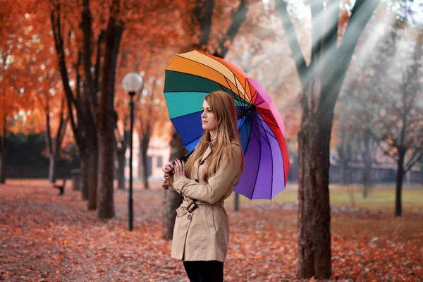 Porträt Einer Schönen Jungen Frau Herbstlichen Wald Mit Buntem Regenschirm — Stockfoto