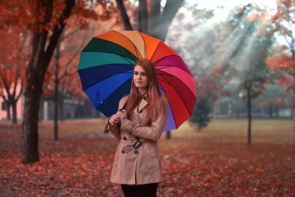 Porträt Einer Schönen Jungen Frau Herbstlichen Wald Mit Buntem Regenschirm — Stockfoto