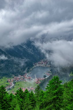 Uzungol (Uzun Göl): Türkiye 'nin en güzel turistik yerlerinden biri. Trabzon, Türkiye 'de alabalık gölü ve küçük bir köyü olan dağ vadisi. Turistler için popüler yaz mevsimi.
